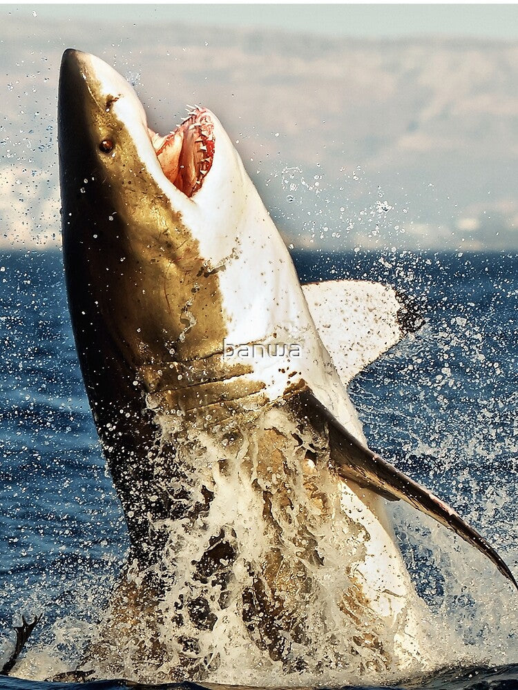 Realistic Great White Shark Jumping Out Of The Ocean by banwa