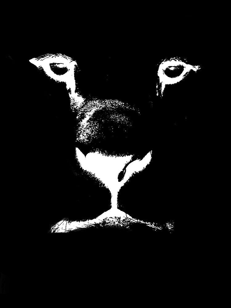 White Lion face by mabhanzi