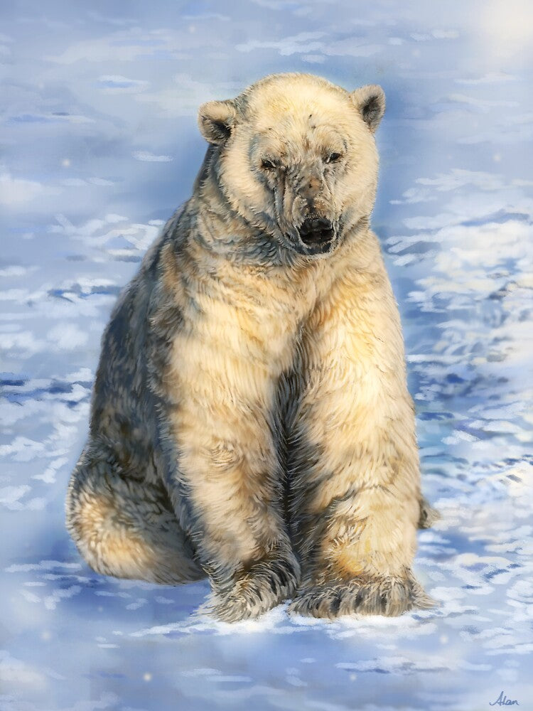 Ice Bear by alandodrawing