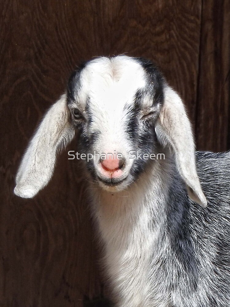 winking goat by Stephanie Skeem