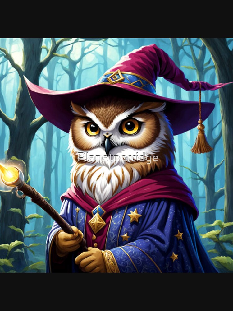 Kids Wizard Owl Art by Planetporridge