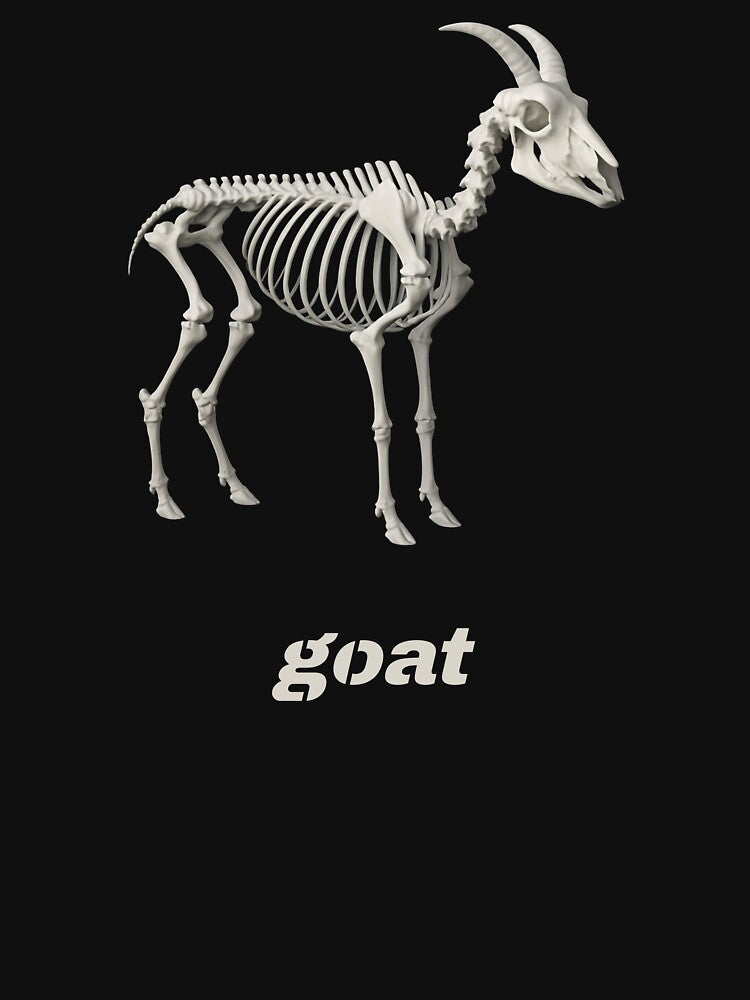 goat skeleton by PatrykPacewicz