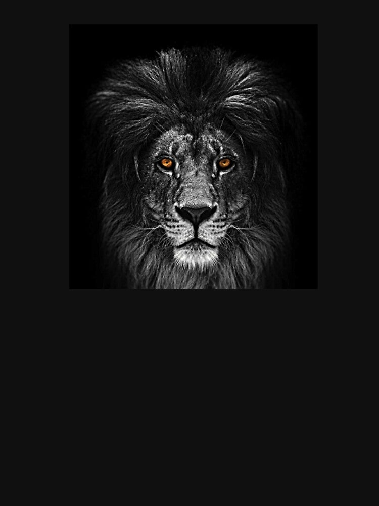 Lion Art by NoxLand