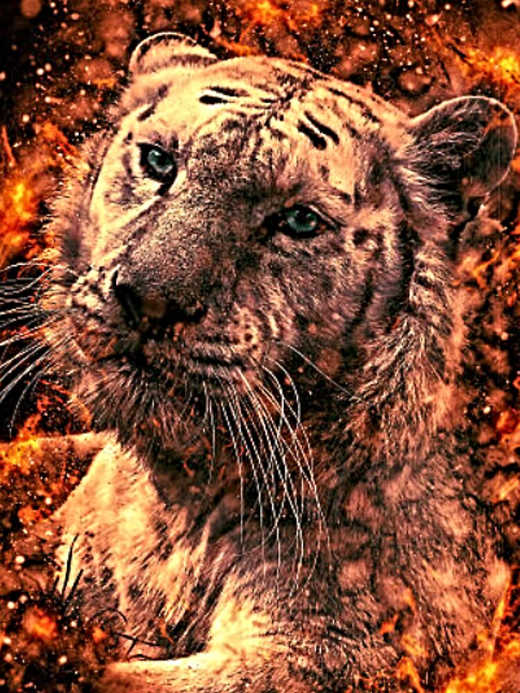 Illustration of Tiger From Fire by NoxLand