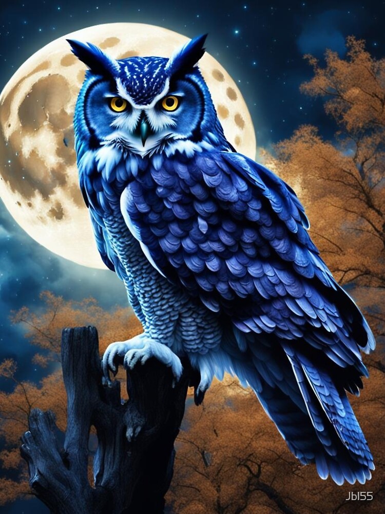 Blue Owl by Jbl55