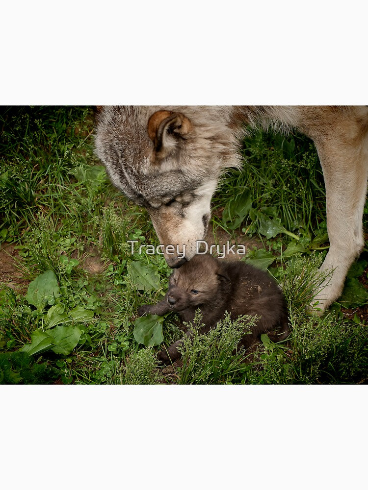 Tender Moment by Tracey Dryka