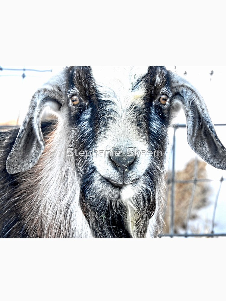 billy goat beard, goatee, panda goat by Stephanie Skeem