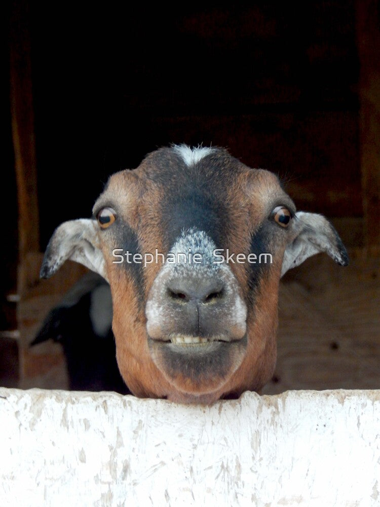 This is my happy face funny goat by Stephanie Skeem