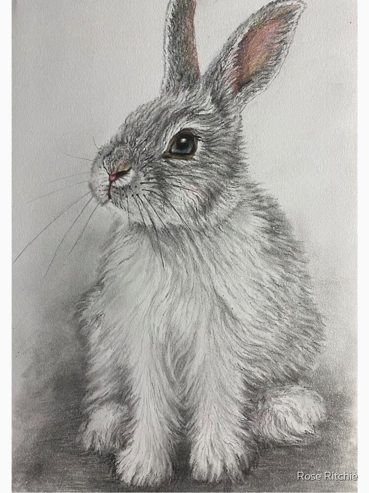 Beautiful rabbit drawing by Rose Ritchie