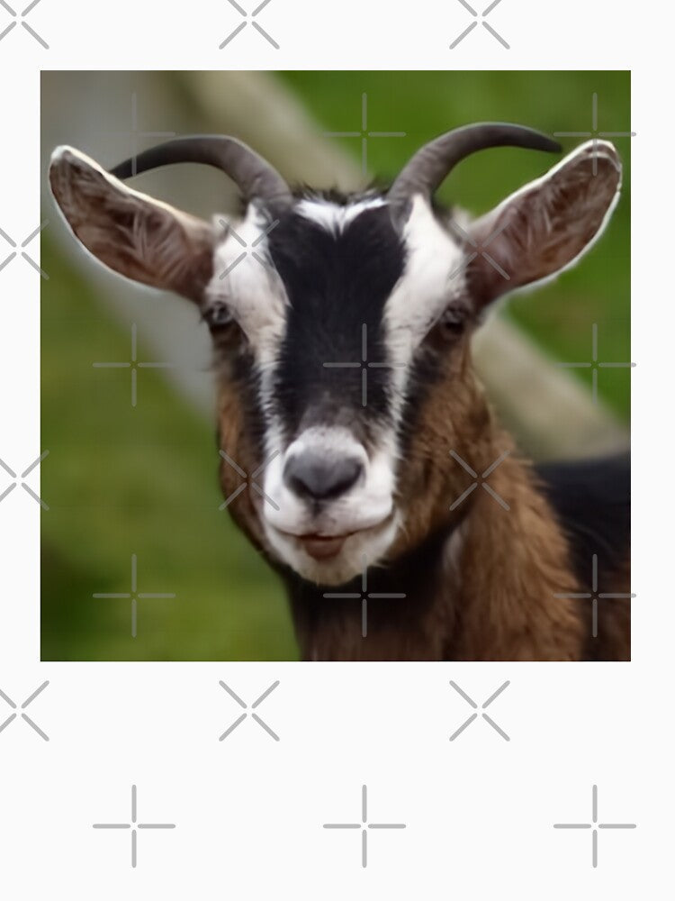 Cute Farm Goat by TheAnimalZ00