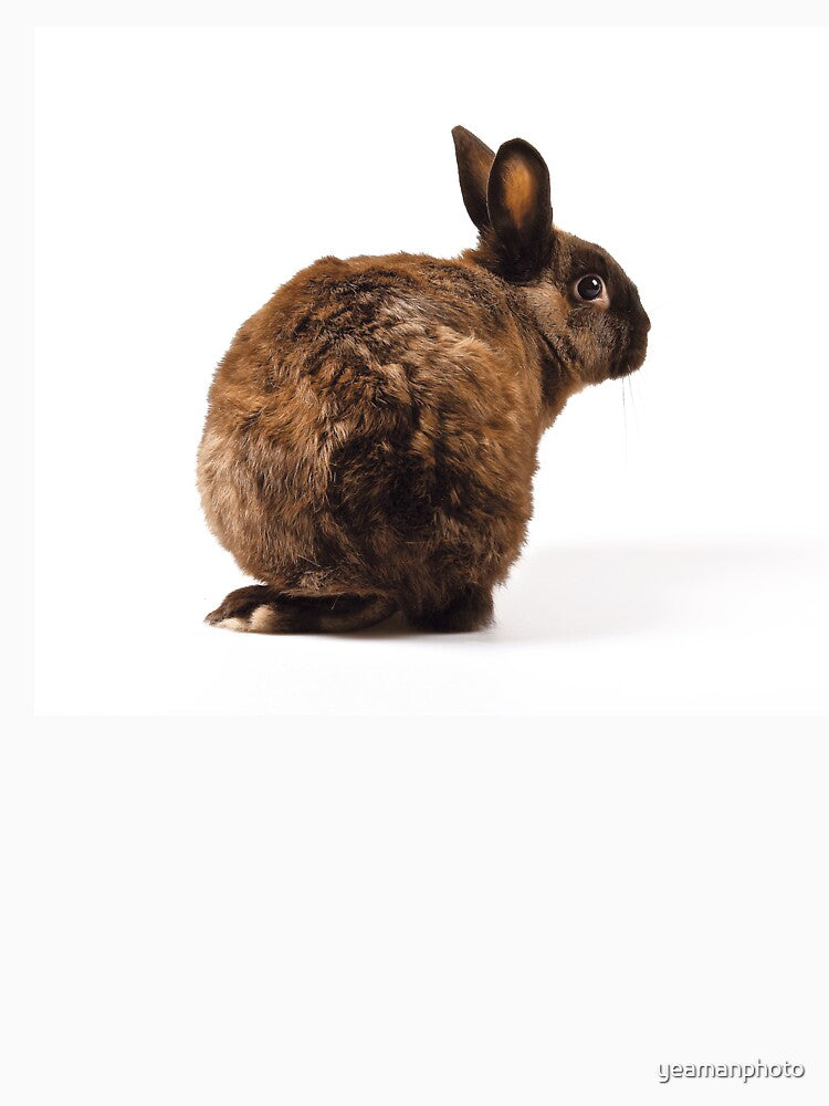 Rabbit looking over its shoulder by yeamanphoto