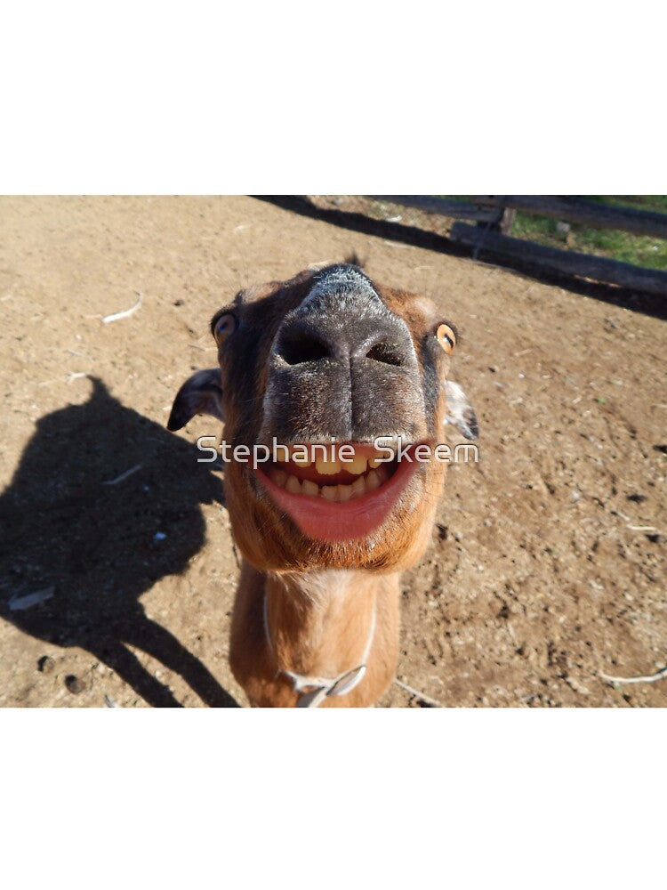 Funny goat by Stephanie Skeem