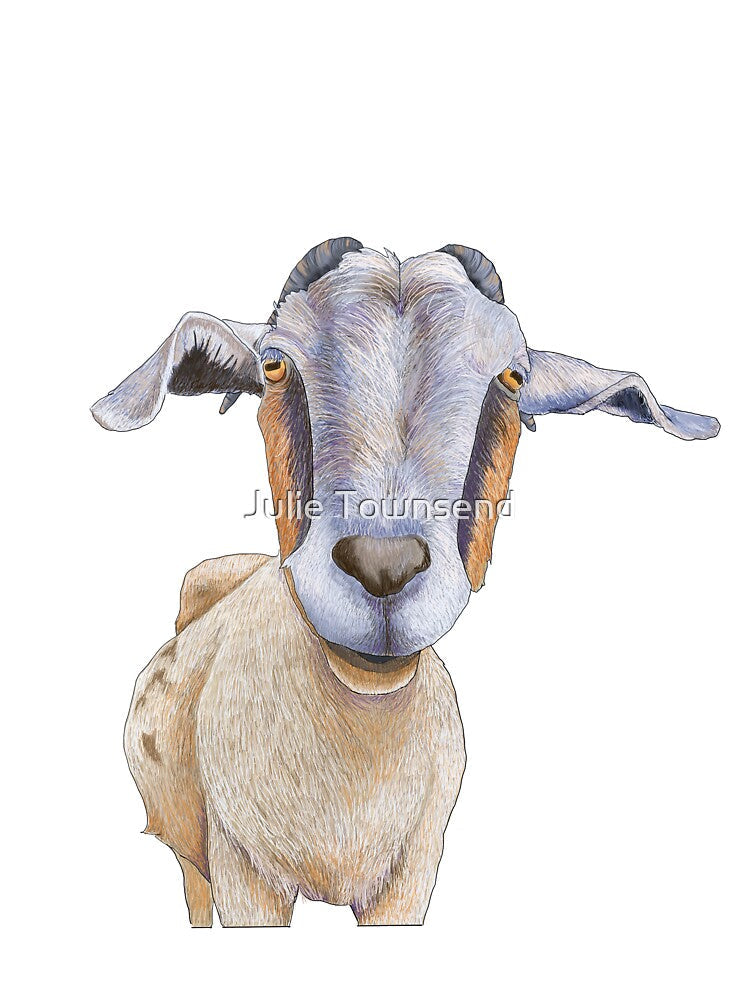 Just a Goat by Julie Townsend
