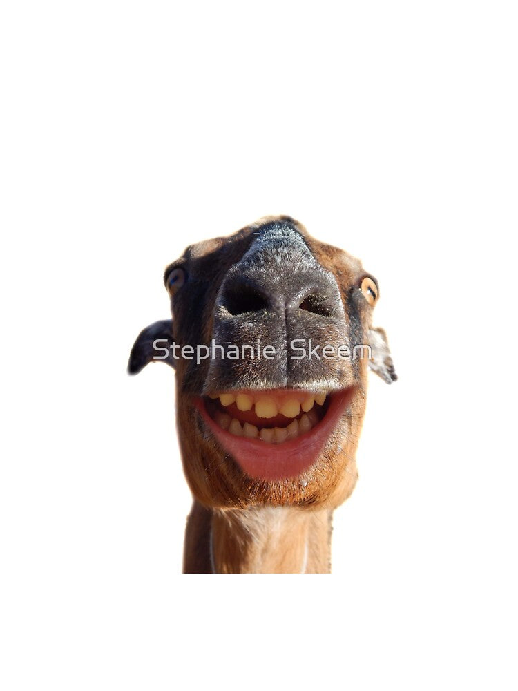 grinning goat by Stephanie Skeem