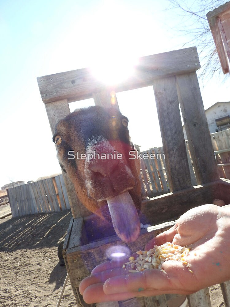 Eat it up, yum goat tongue, by Stephanie Skeem
