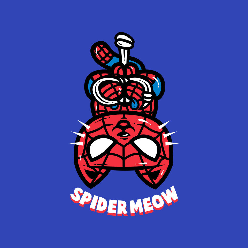 Spider Meow