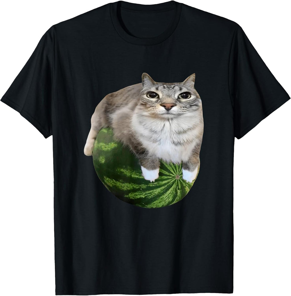 Funny Silly Cat Memes by The Meme Factory