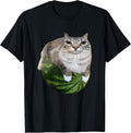 Funny Silly Cat Memes by The Meme Factory