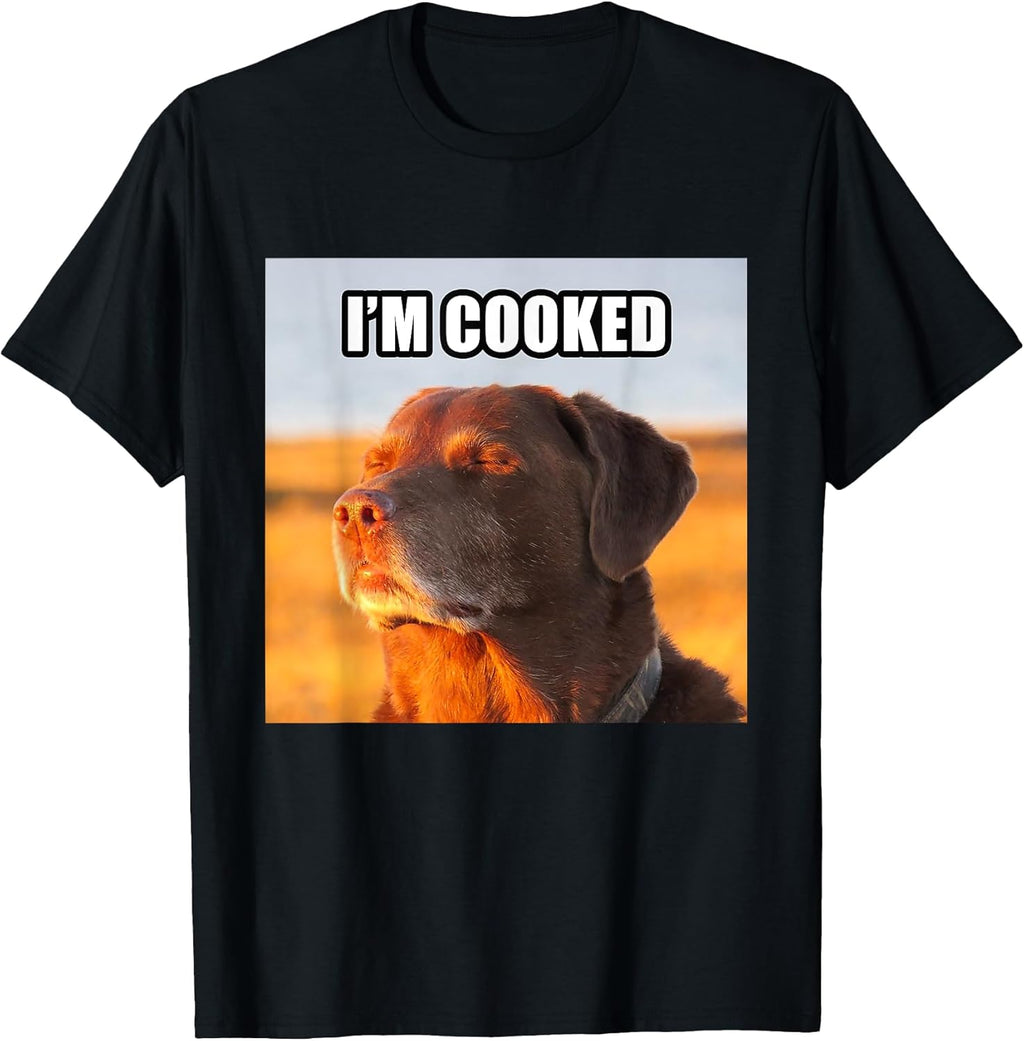 I'm Cooked Meme