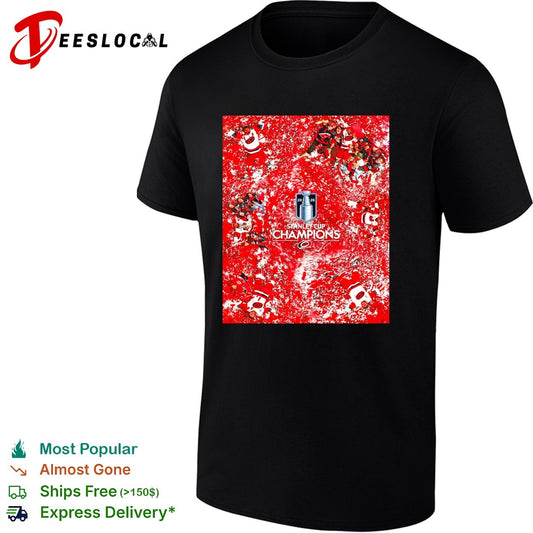 Carolina Hurricanes Stanley Cup Champions confetti splash celebration art shirt