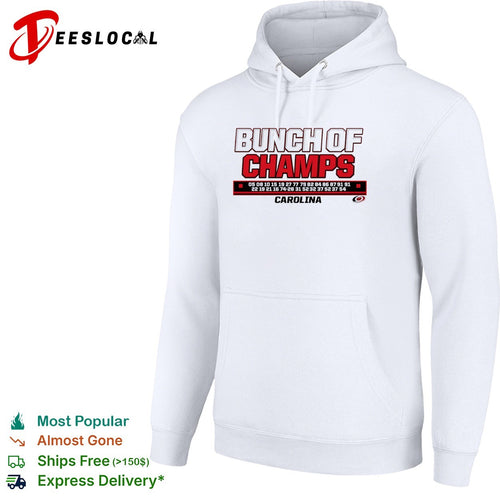 Carolina Hurricanes ice hockey bunch of champs shirt