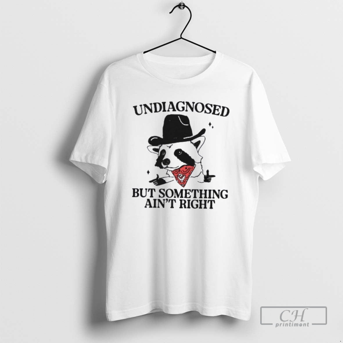 Classic Cowboy Raccoon Undiagnosed But Something Aint Right Shirt Sweater