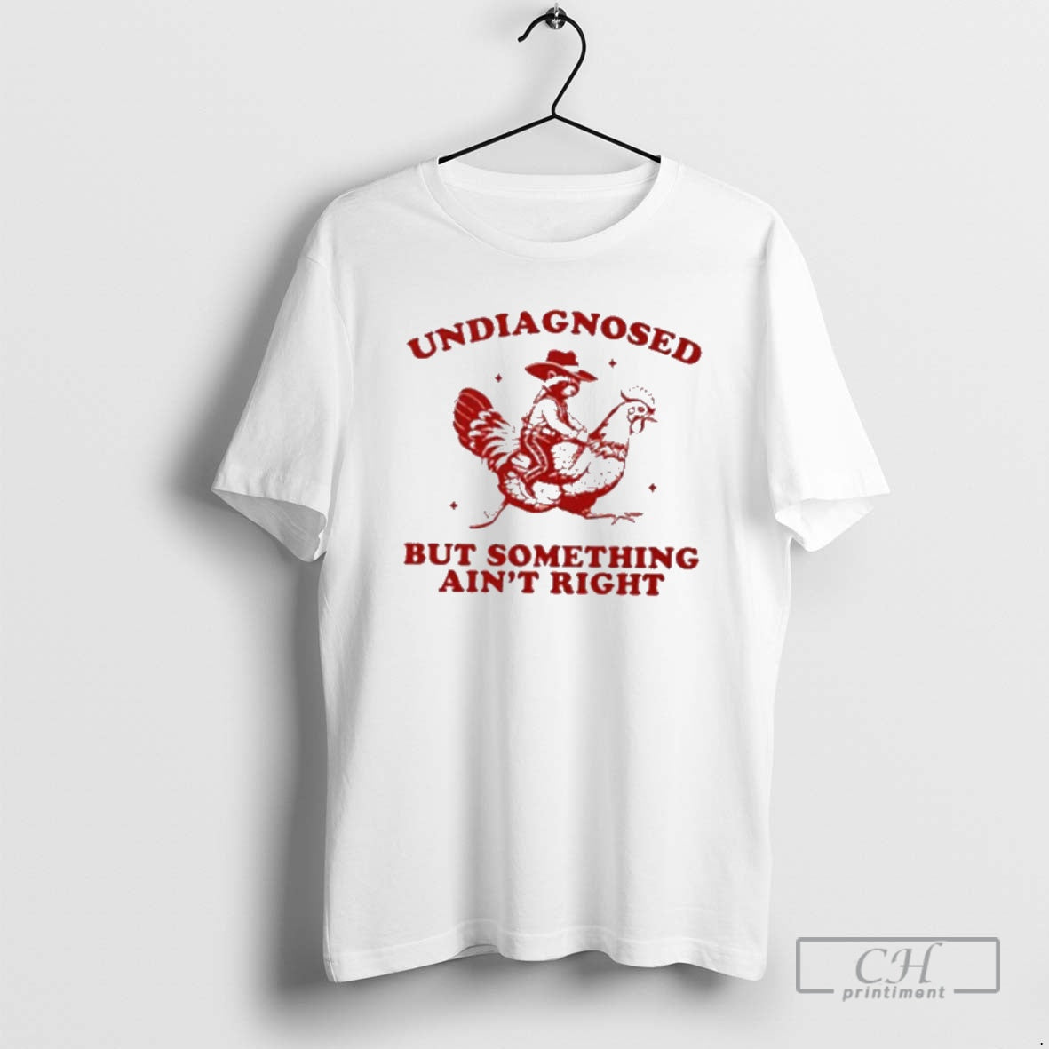 Classic Undiagnosed But Something Aint Right Funny Raccoon Chicken Shirt Sweater