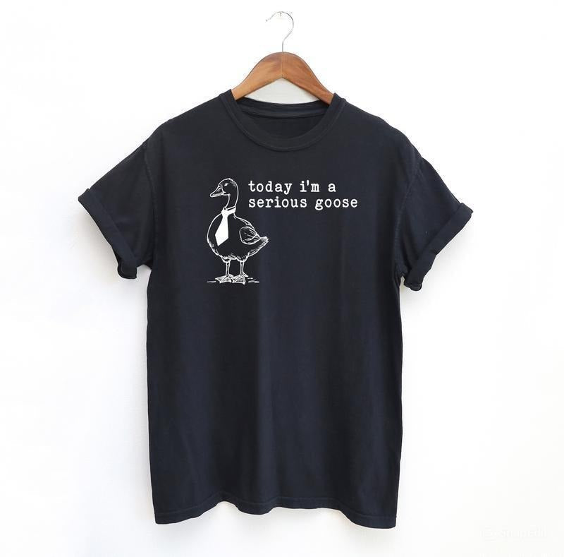Serious Goose Funny Shirt Meme Shirt Menswear T-Shirts