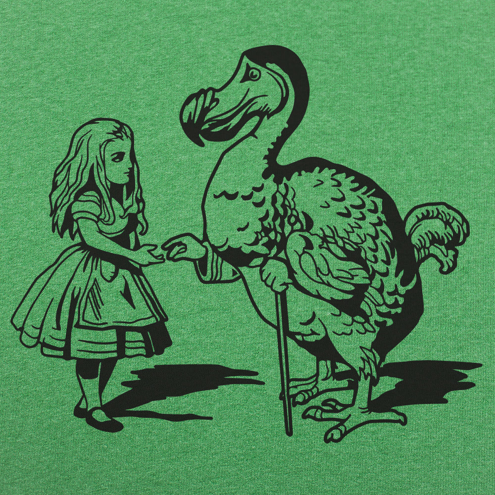 Alice And Dodo in Wonderland