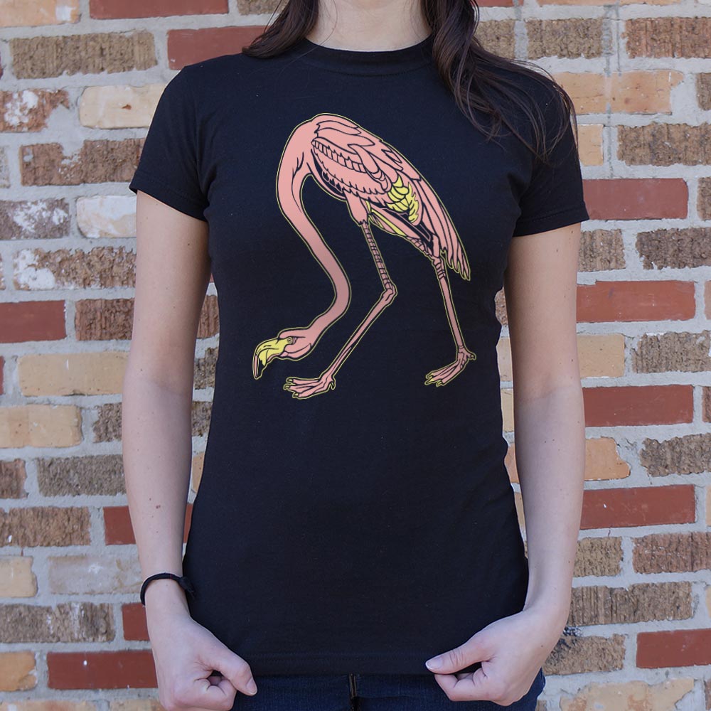 Audubon Flamingo Pink Bird Illustration