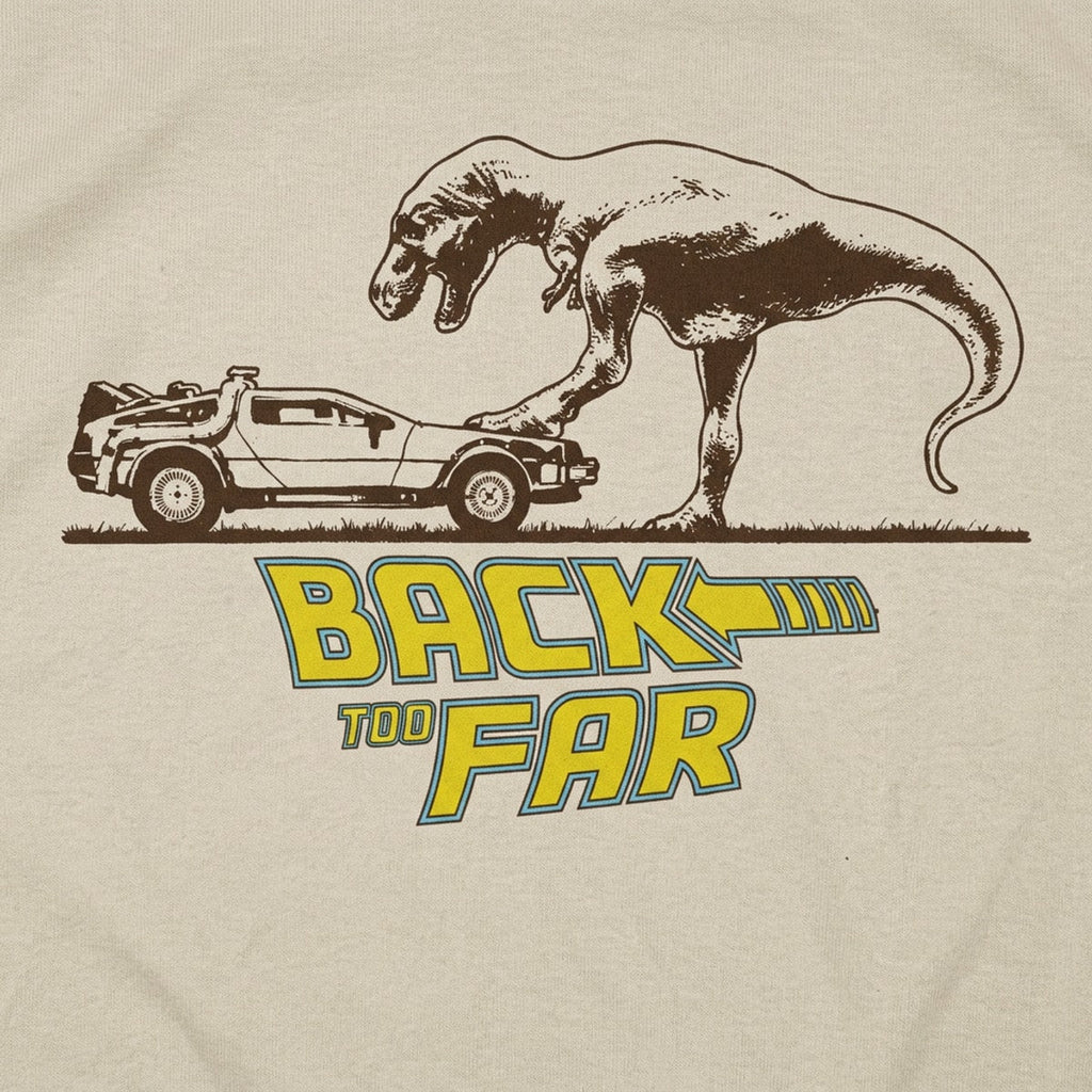 Back Too Far Time Machine DeLorean and T-Rex