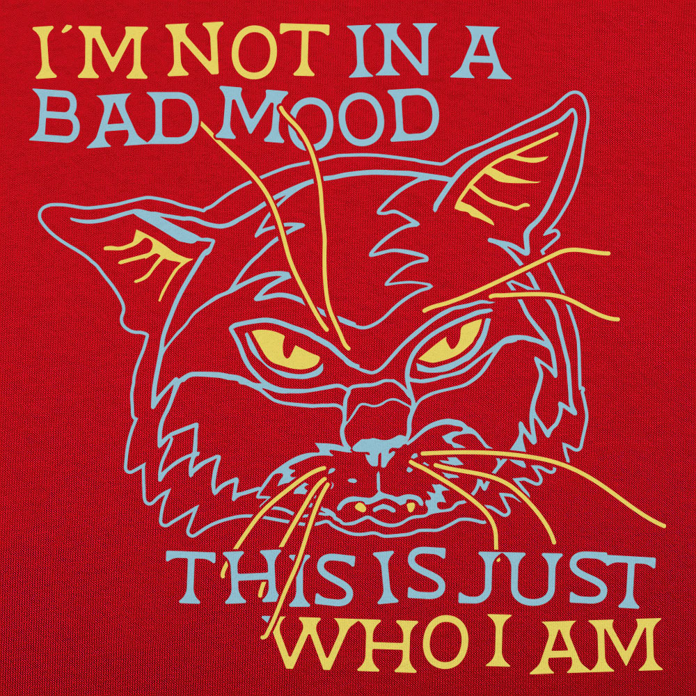 Bad Mood Cat Face, This Is Just Who I Am