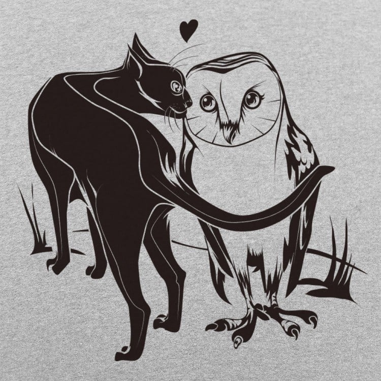 Barn Owl's Best Friend Cat and Owl Love