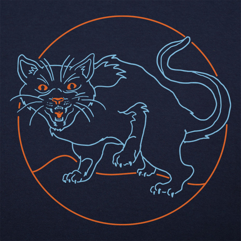 Black Cat Spooky Halloween Hissing Cat