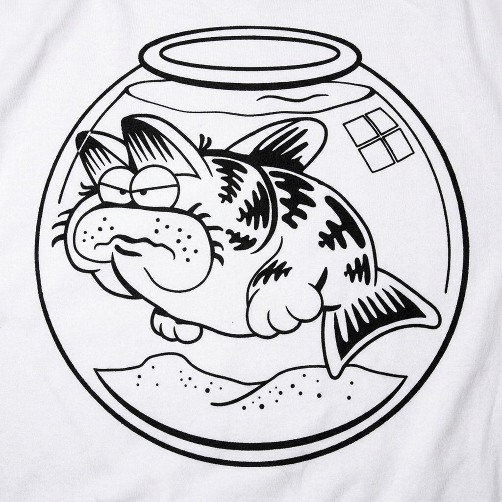 Cat Fish Hybrid Swimming in a Fishbowl
