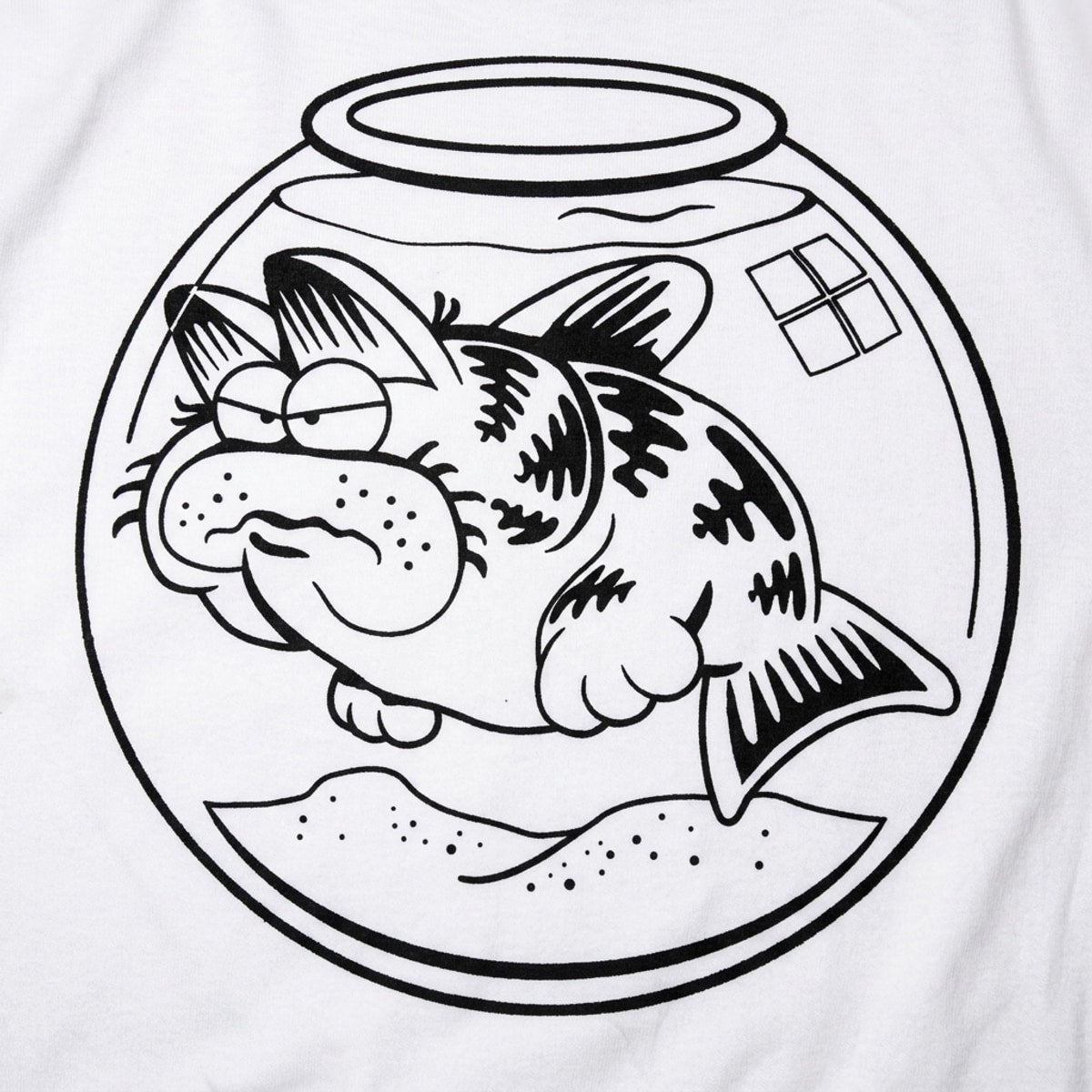 Cat Fish Hybrid Swimming in a Fishbowl
