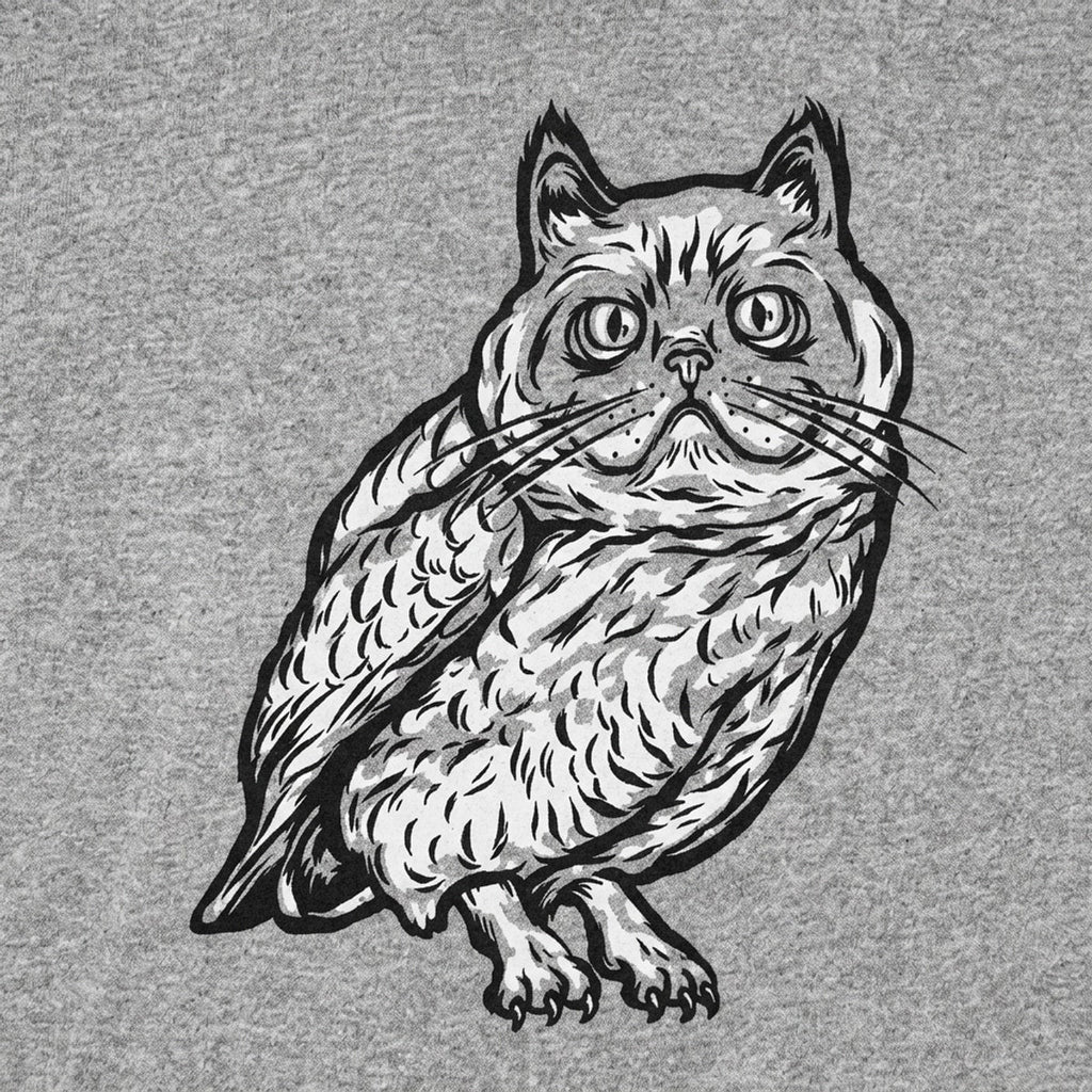 Cat Owl Hybrid Creature with Cat Head and Owl Body