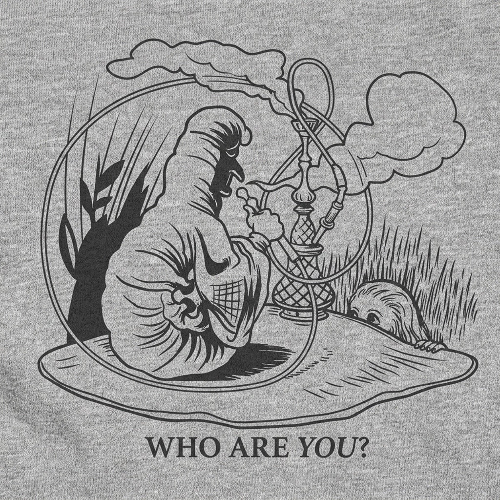 Caterpillar And Alice - Hookah-Smoking Caterpillar