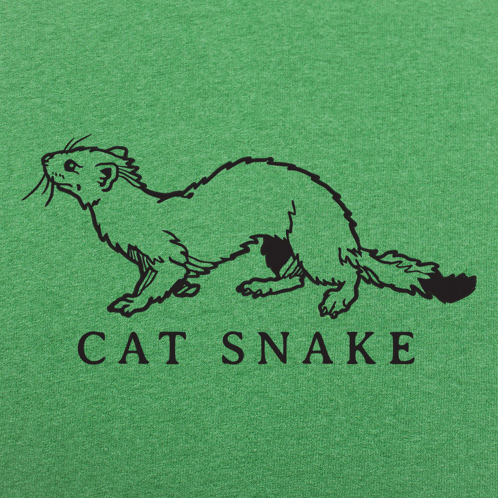 Cat Snake Long Weasel Ferret