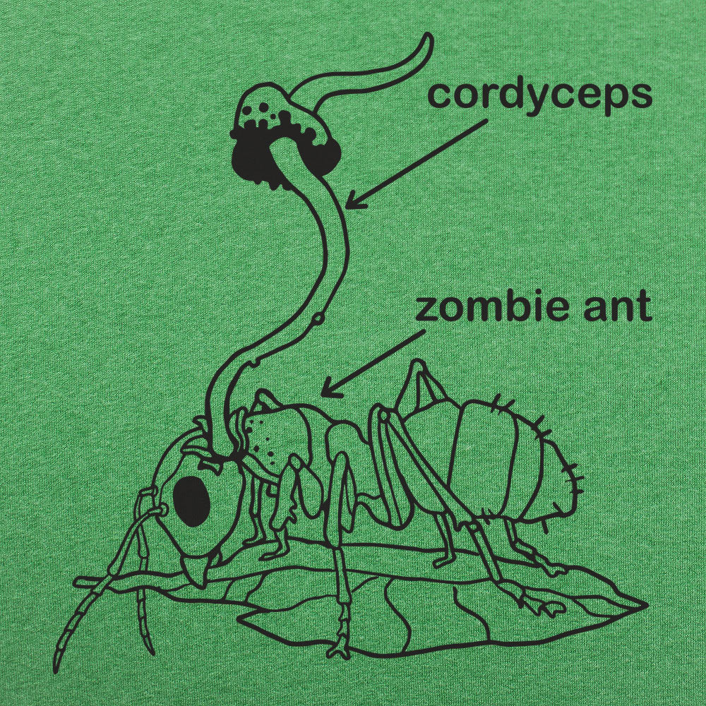 Cordyceps Zombie Ant Fungus Diagram