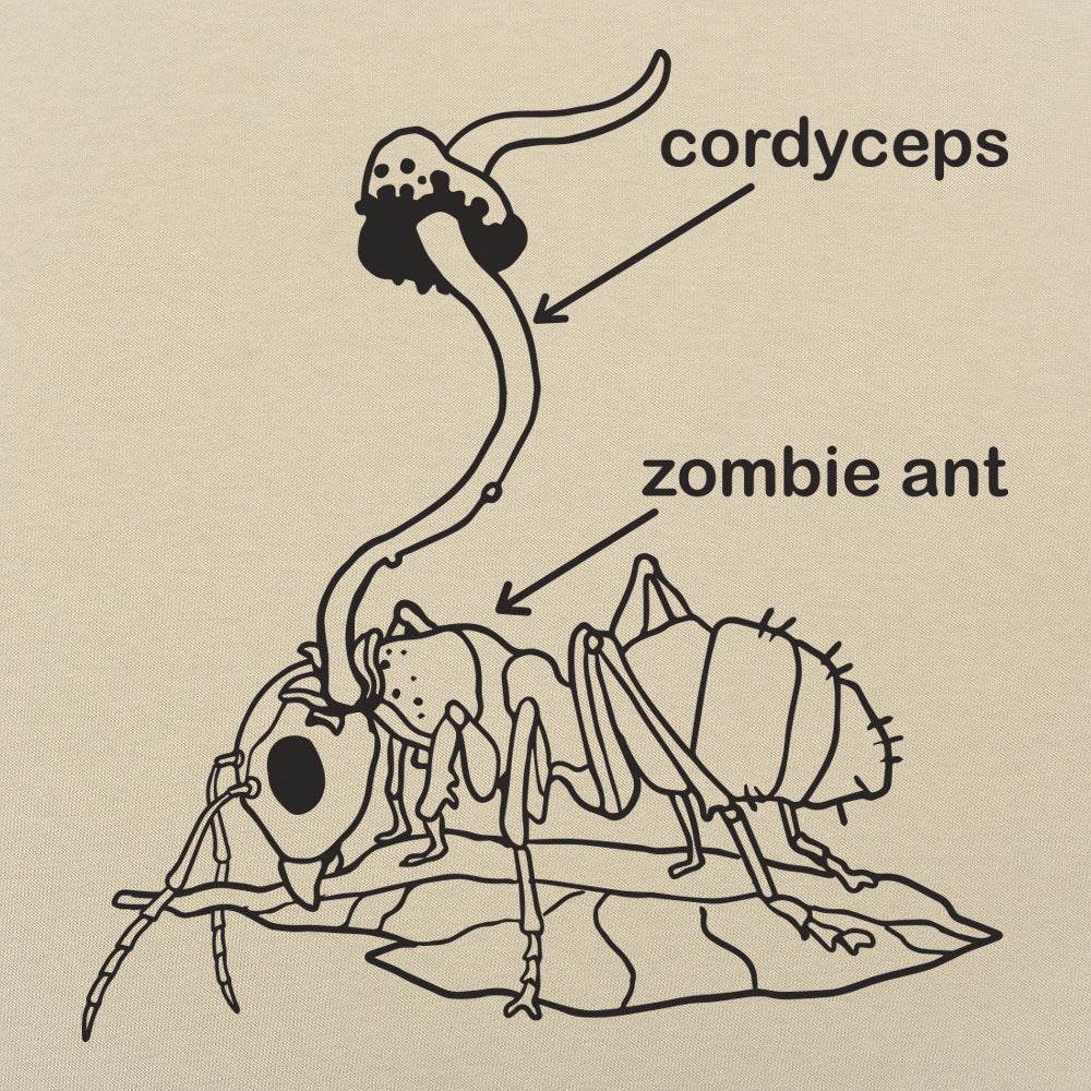 Cordyceps Zombie Ant Fungus Diagram