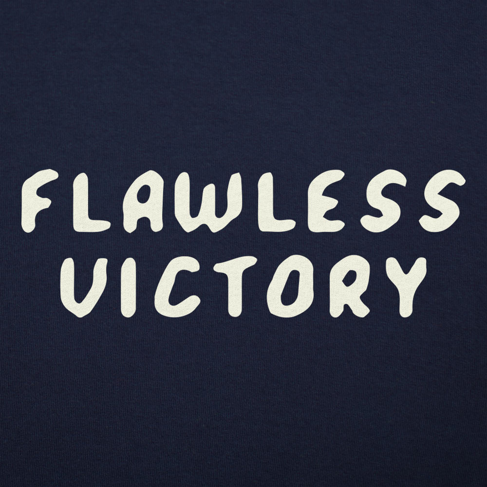 Flawless Victory Fighting Game Announcer Phrase