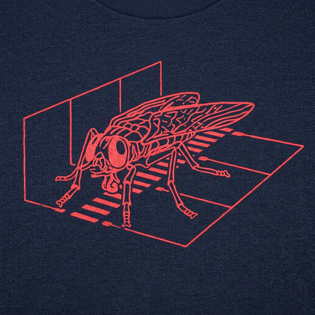 Fly Scan Giant Insect in Teleportation Pod