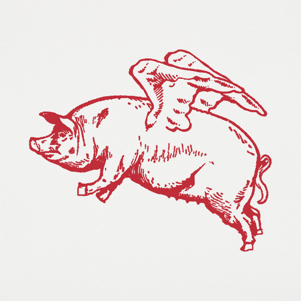 Flying Pig with Wings Pun