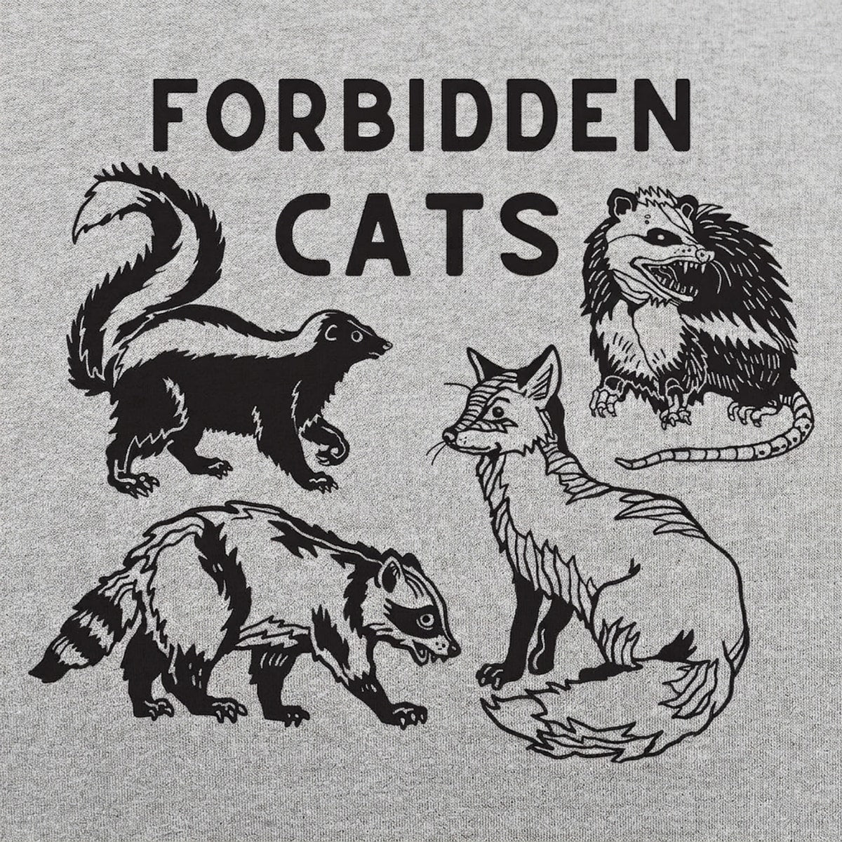 Forbidden Cats Skunk Fox Raccoon and Opossum