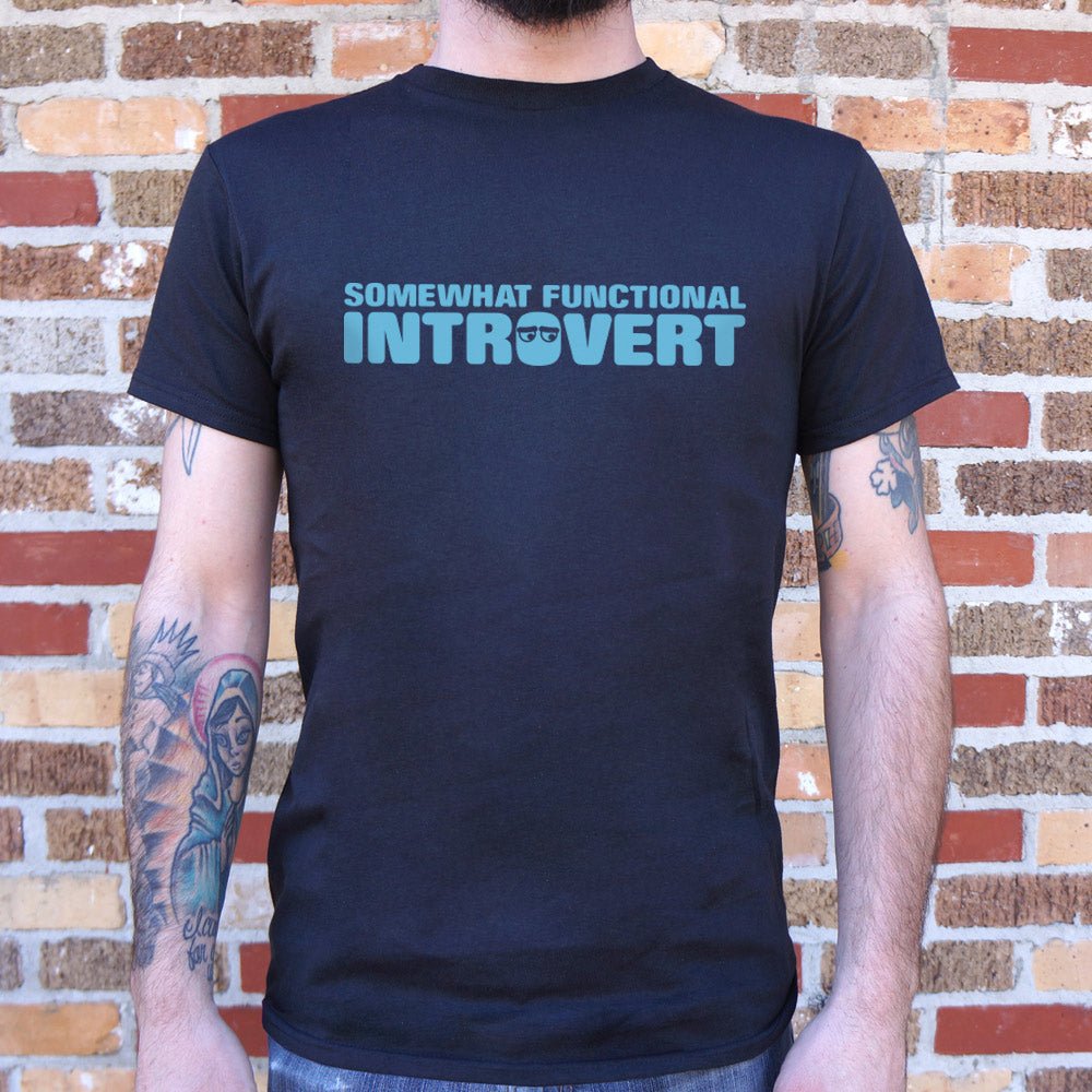 Somewhat Functional Introvert
