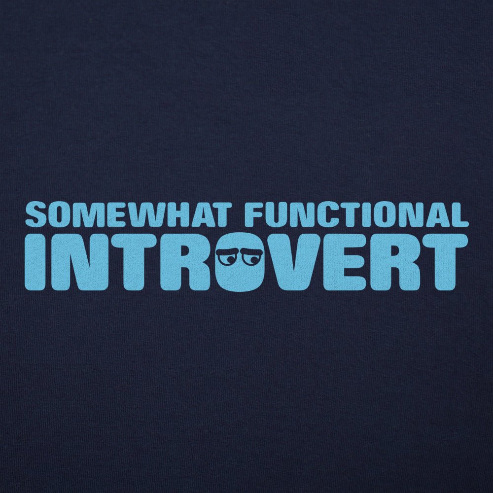 Somewhat Functional Introvert