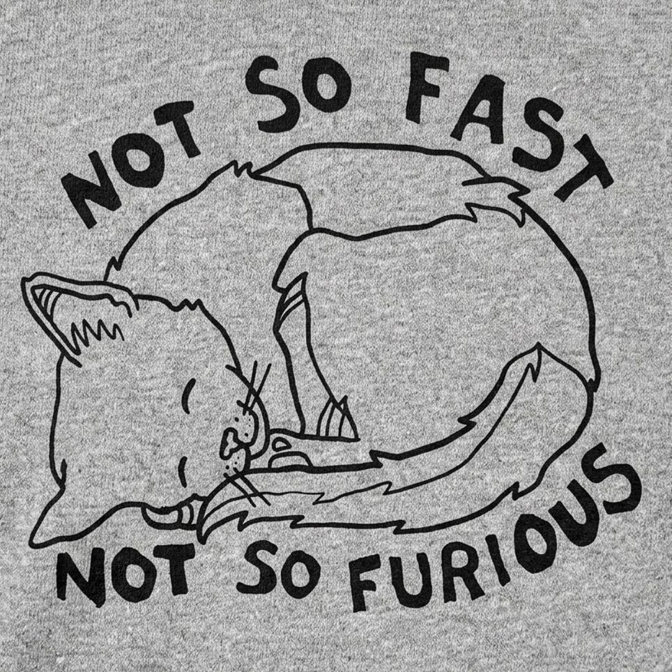 Not So Fast Not So Furious Sleeping Cat