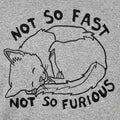 Not So Fast Not So Furious Sleeping Cat