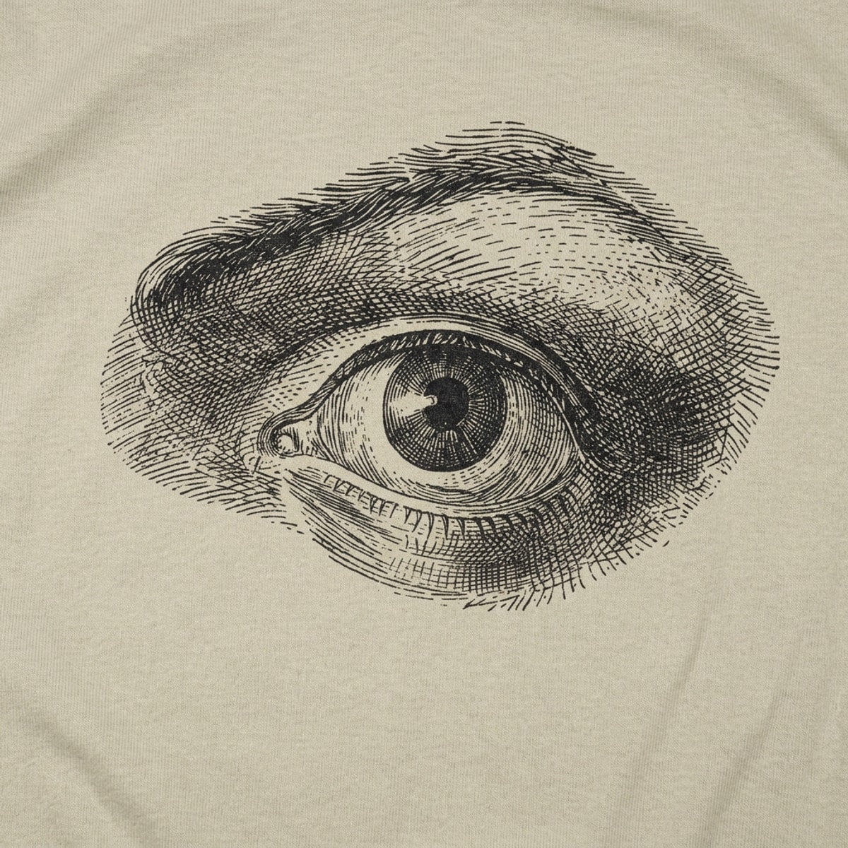Human Eye Vintage Anatomical Illustration